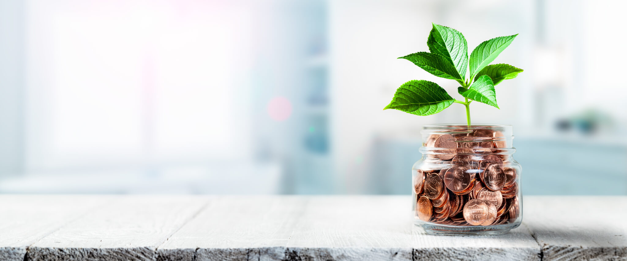How Much Does it Cost to Get a Fat Transfer